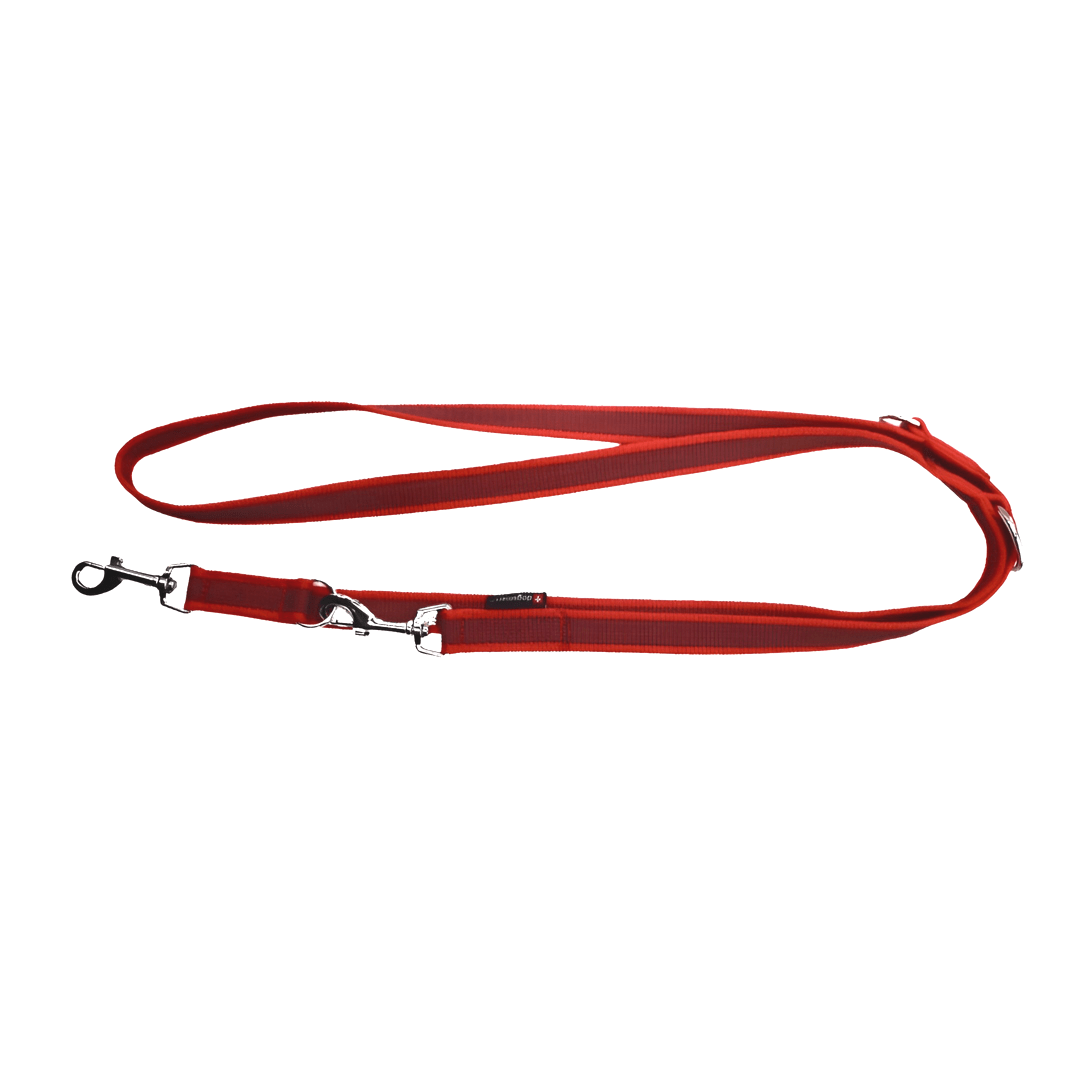 HealthyDog dogsmart gummierte PES Doppelführer rot