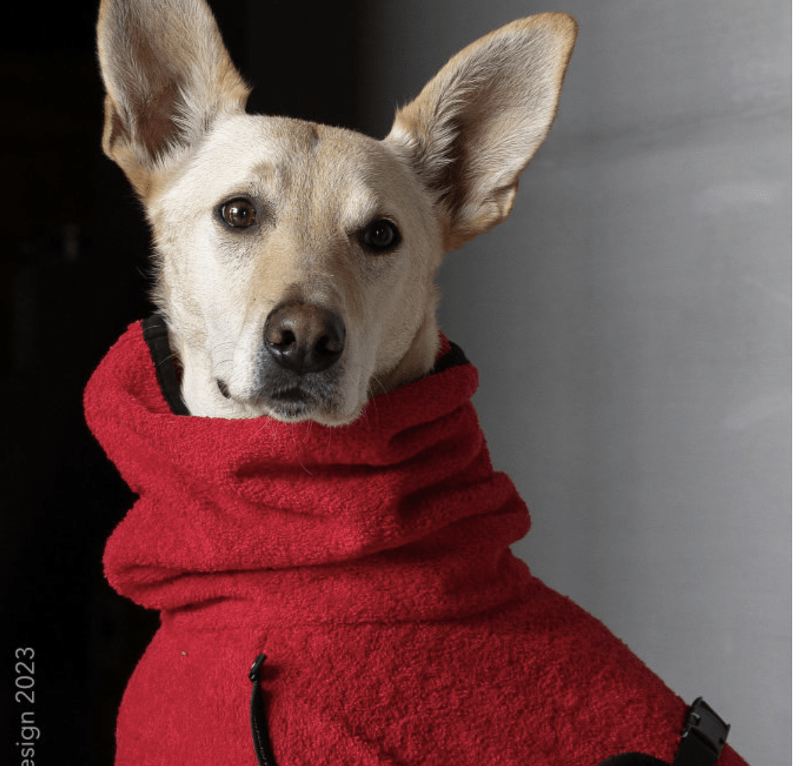 HealthyDog actionfactory dryup cape red pepper