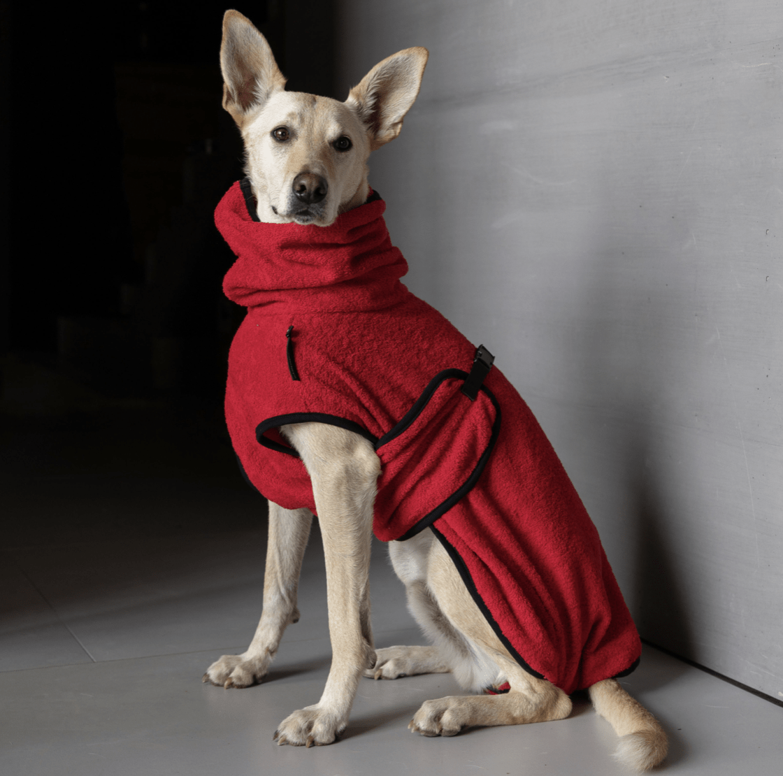 HealthyDog actionfactory dryup cape red pepper