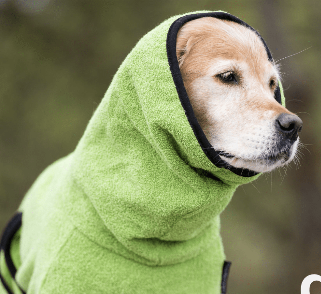 HealthyDog actionfactory dryup cape kiwi