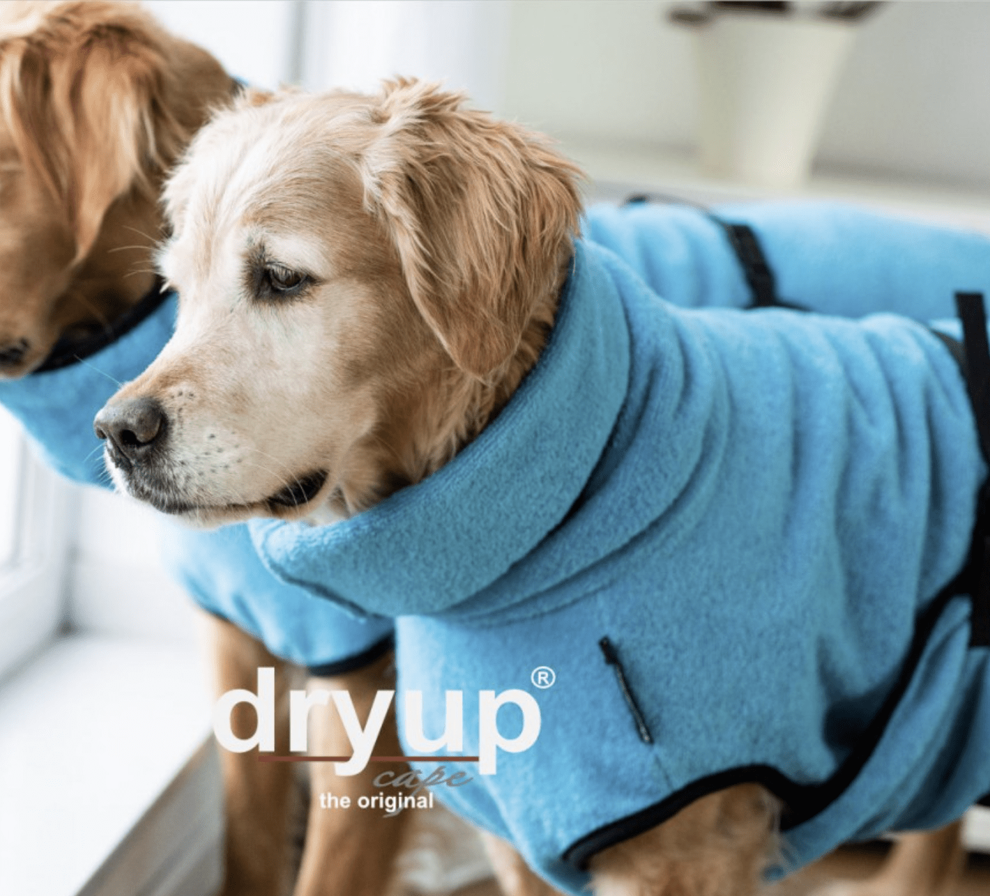 HealthyDog actionfactory dryup cape cyan