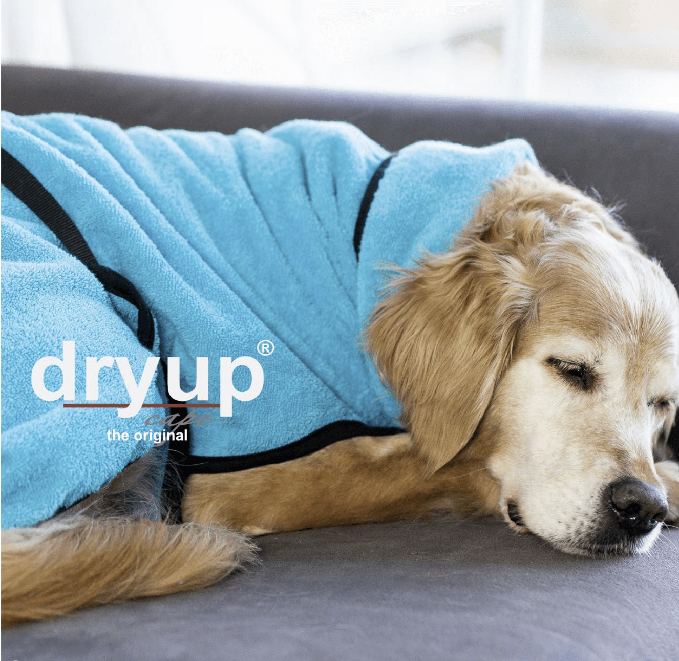 HealthyDog actionfactory dryup cape cyan
