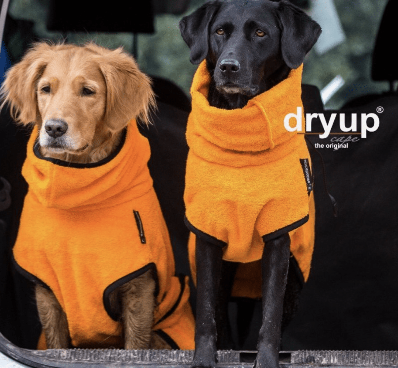 HealthyDog actionfactory dryup cape clementine