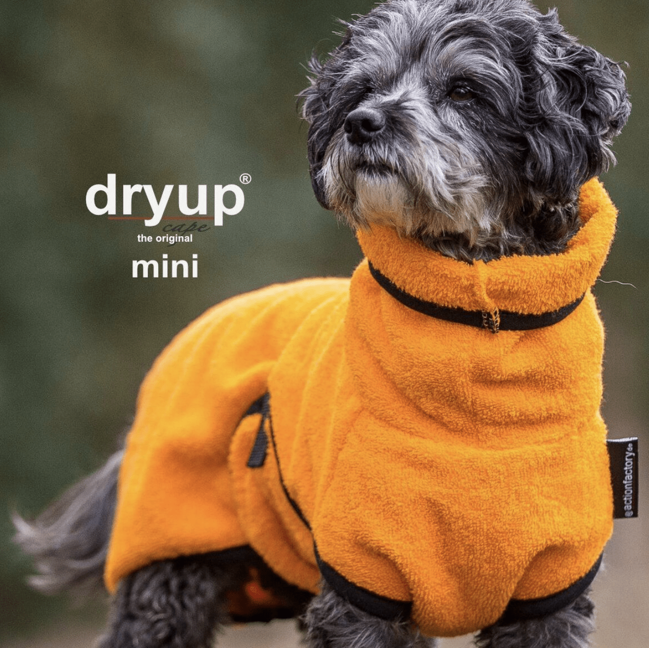 HealthyDog actionfactory dryup cape clementine