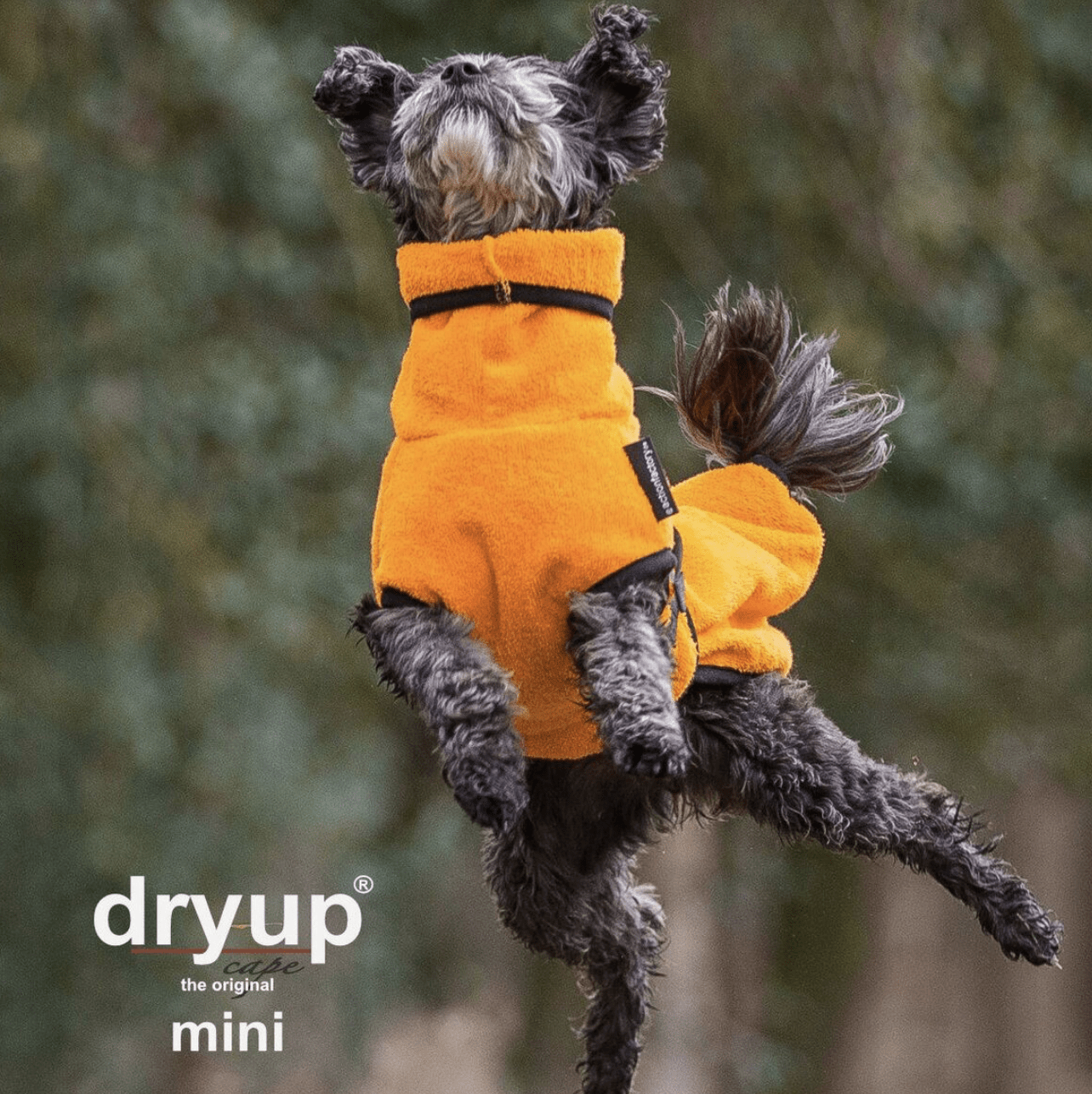actionfactory Dryup cape clementine