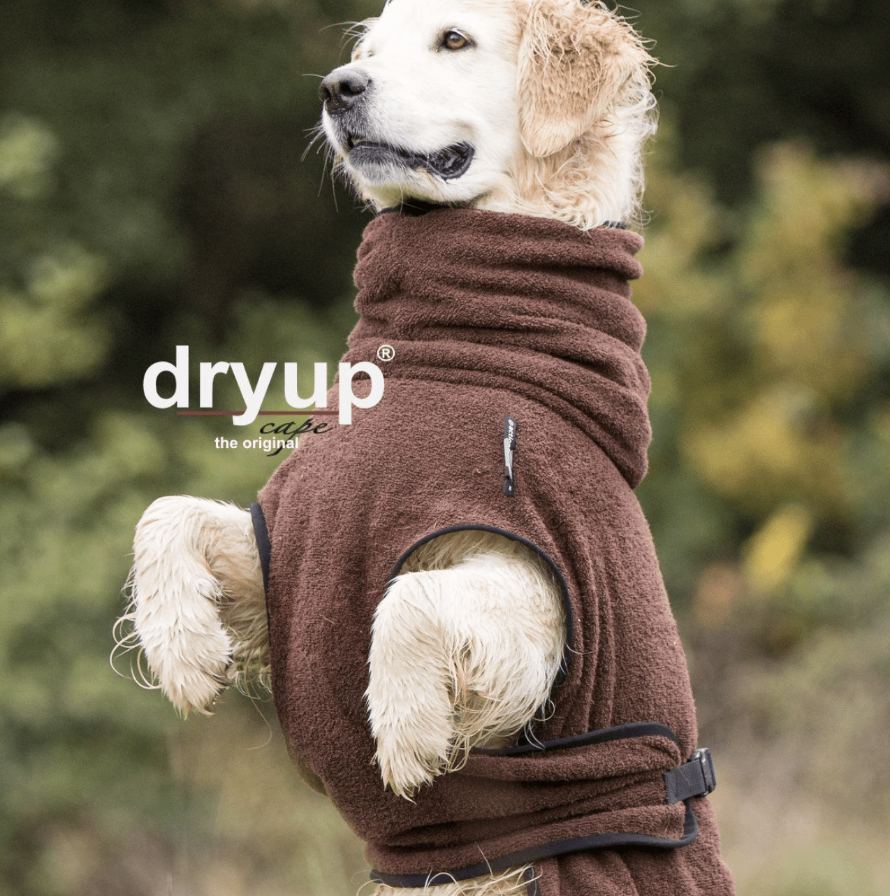 HealthyDog actionfactory dryup cape braun