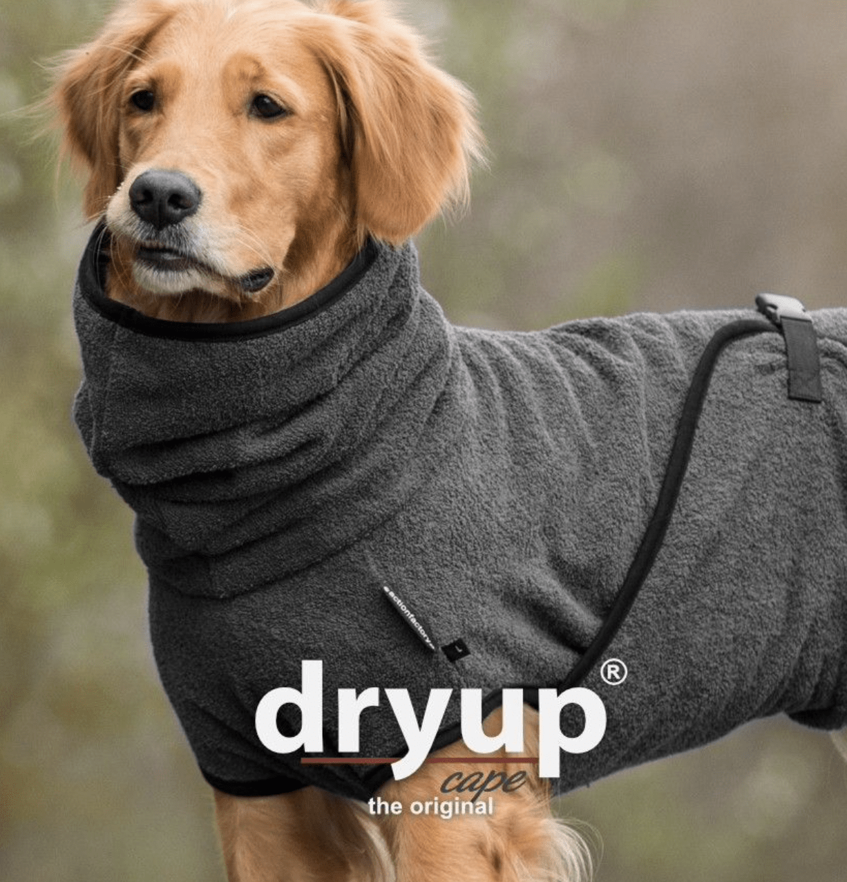 HealthyDog actionfactory dryup cape anthrazit