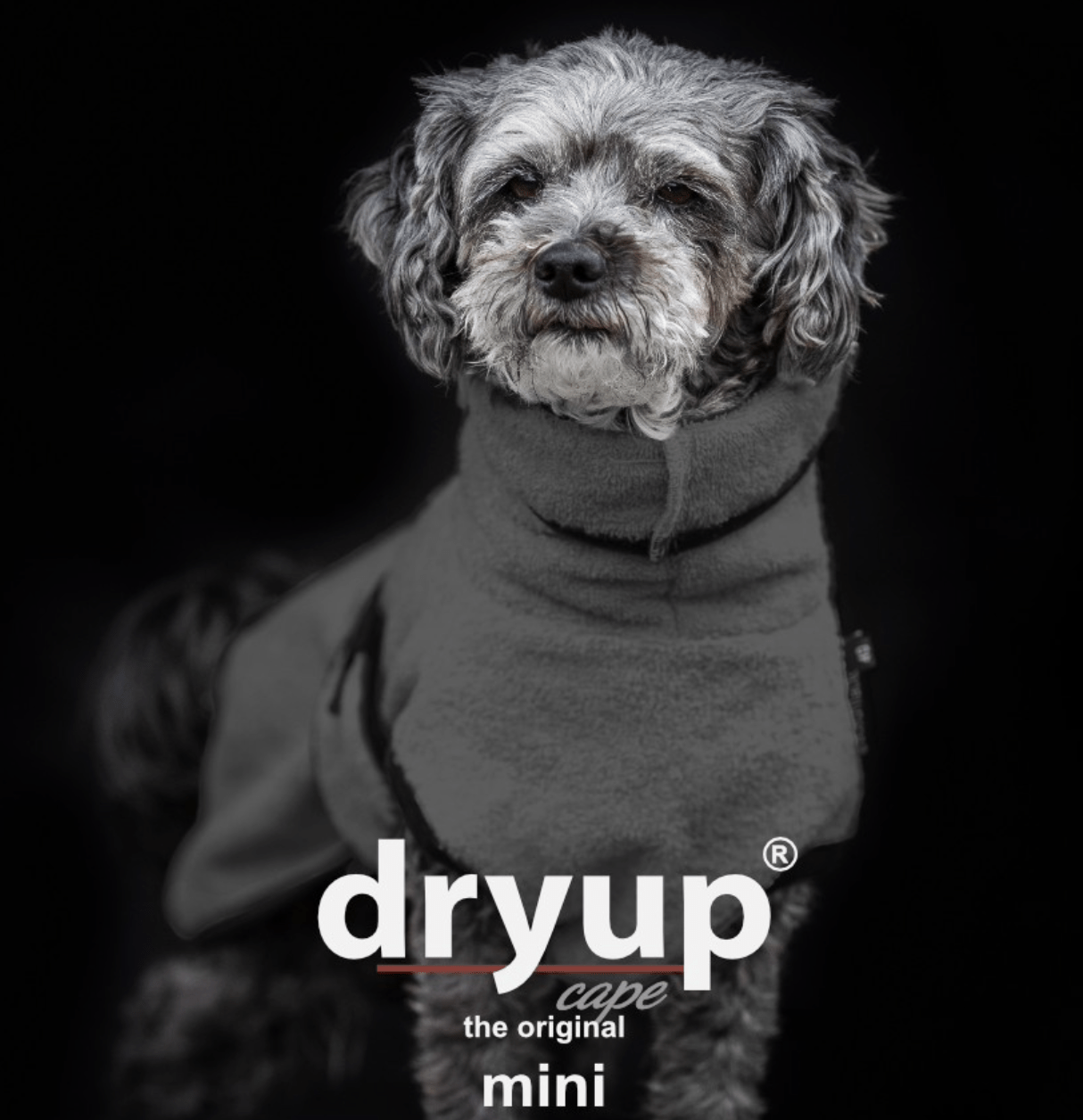 HealthyDog actionfactory dryup cape anthrazit