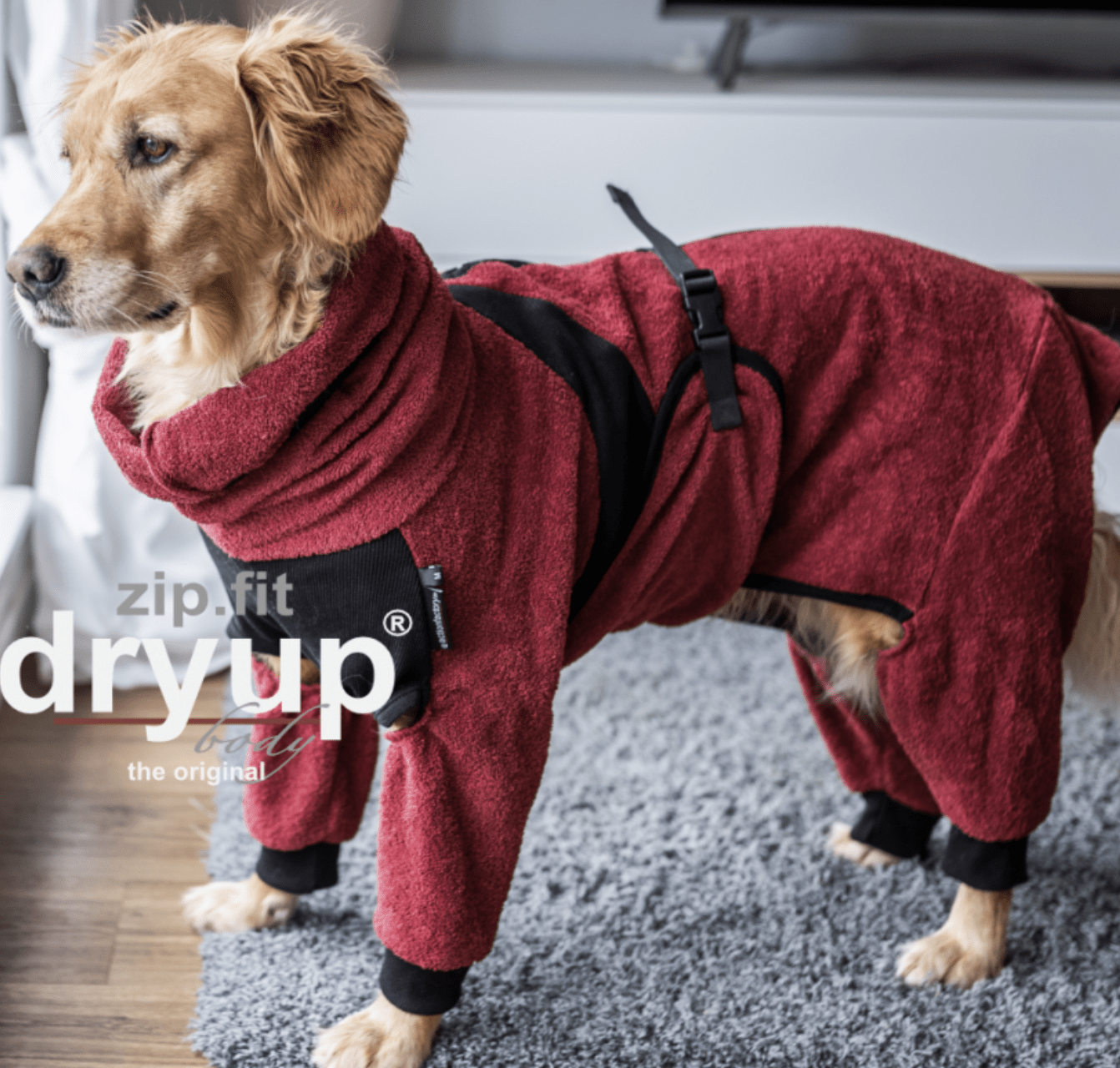 HealthyDog actionfactory dryup body zip.fit bordeaux