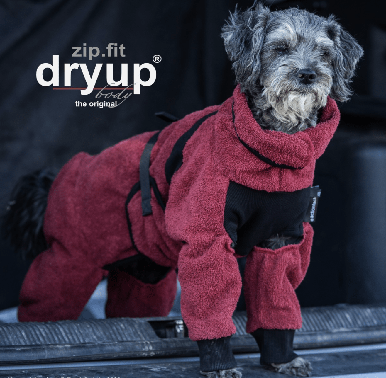 HealthyDog actionfactory dryup body zip.fit bordeaux