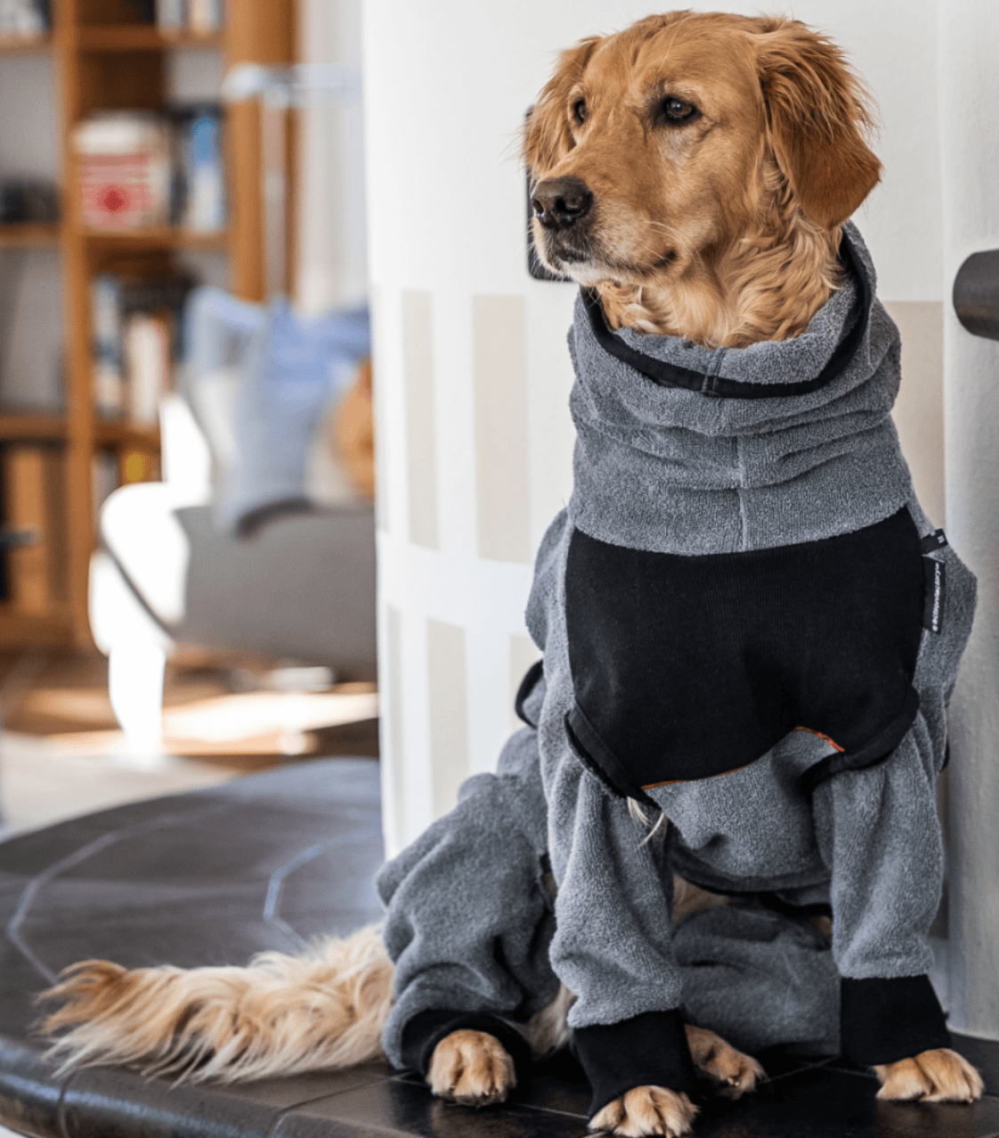 HealthyDog actionfactory dryup body zip.fit grey