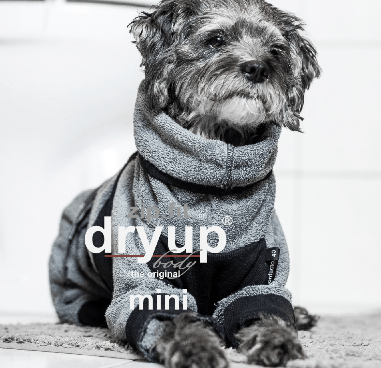 HealthyDog actionfactory dryup body zip.fit grey