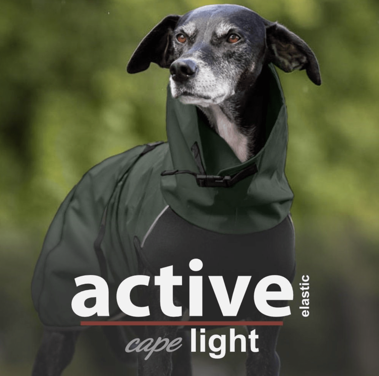 HealthyDog actionfactory active cape elastic light forrest green