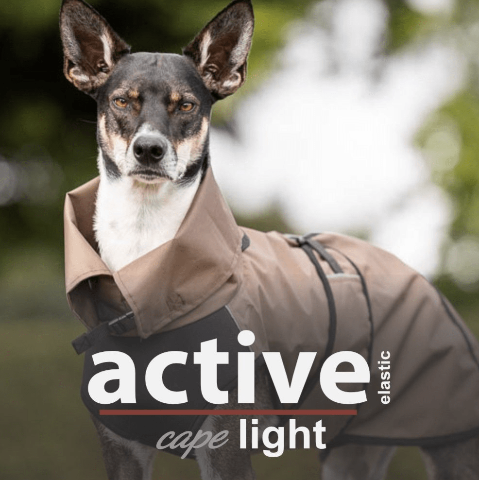 actionfactory Active Cape elastic light brown