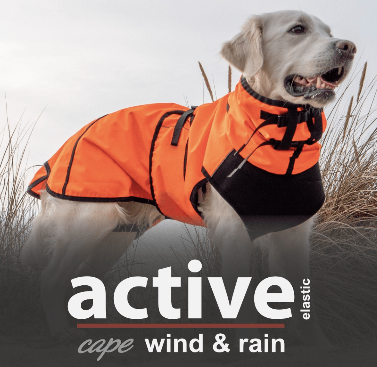 HealthyDog actionfactory active cape elastic wind & rain orange