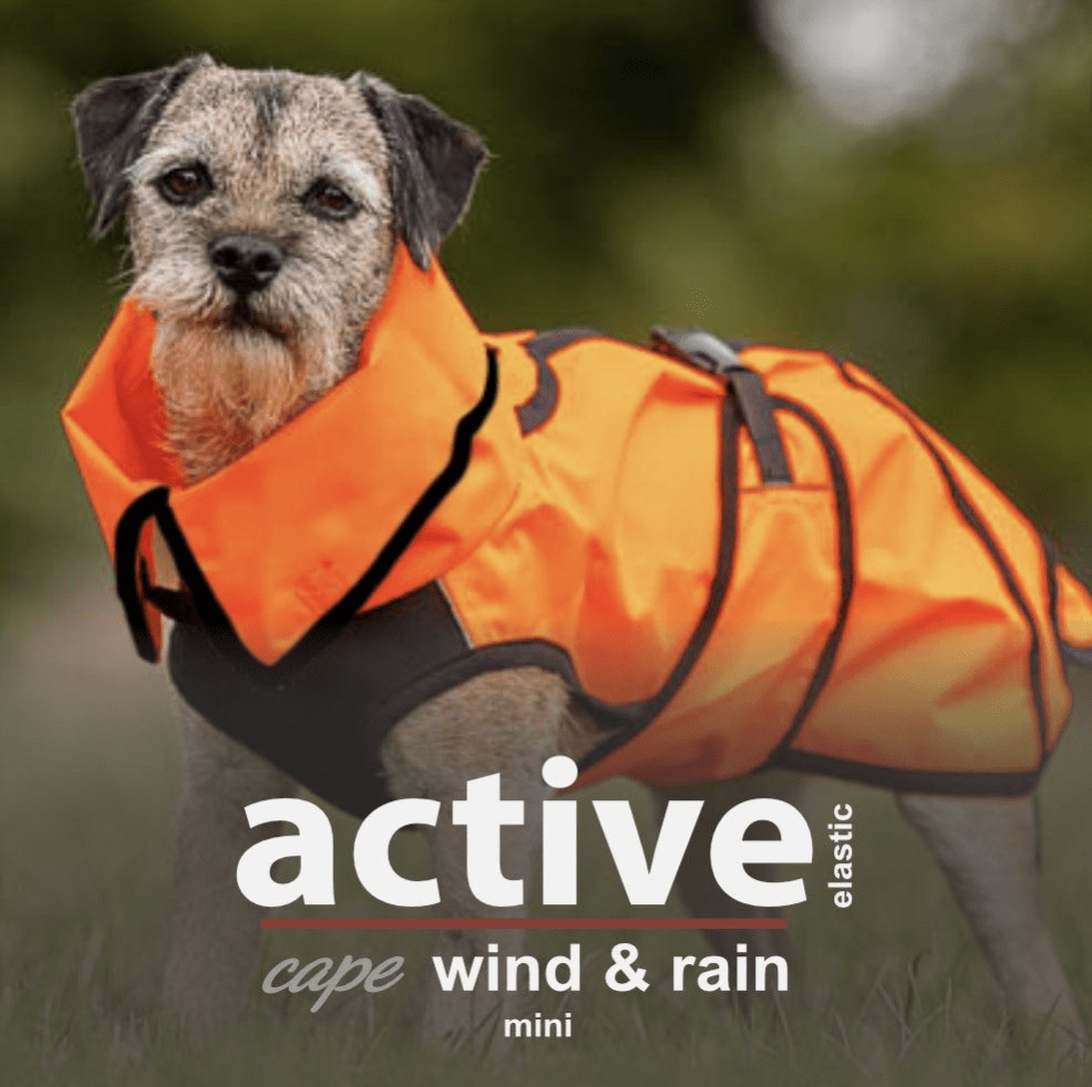 HealthyDog actionfactory active cape elastic wind & rain orange