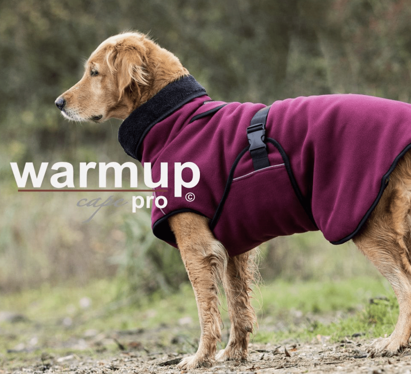 actionfactory Warmup cape pro bordeaux