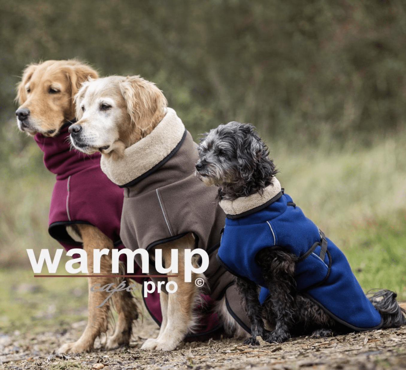 HealthyDog actionfactory warmup cape pro alle