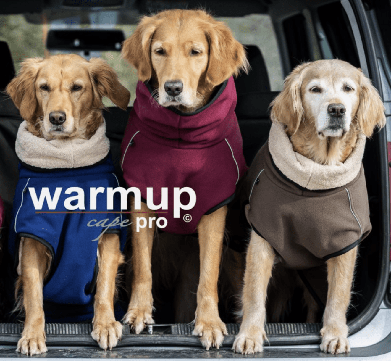 HealthyDog actionfactory warmup cape pro alle