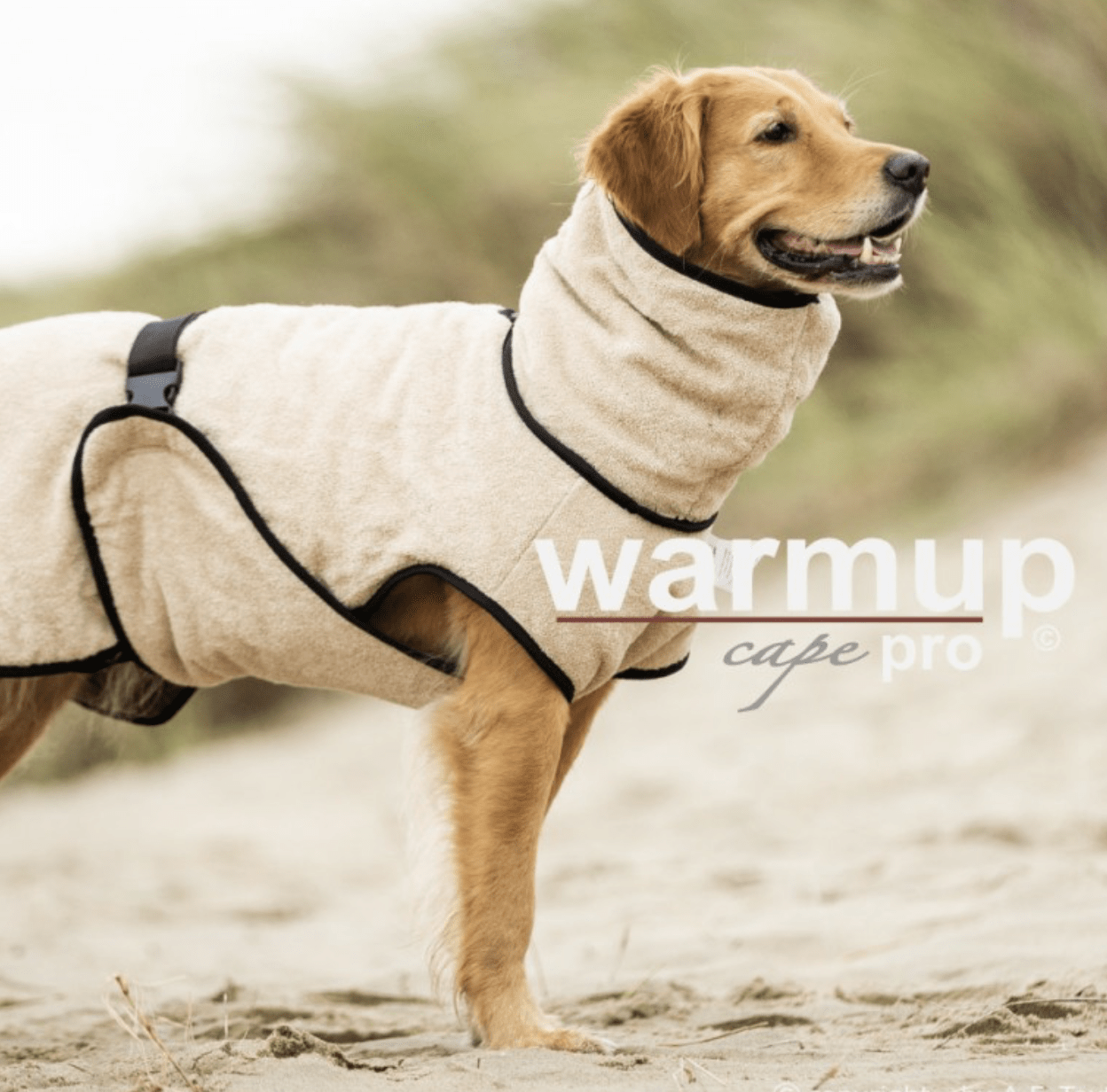 HealthyDog actionfactory warmup cape pro alle