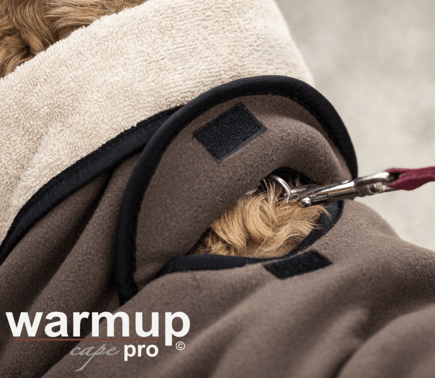 HealthyDog actionfactory warmup cape pro mocca