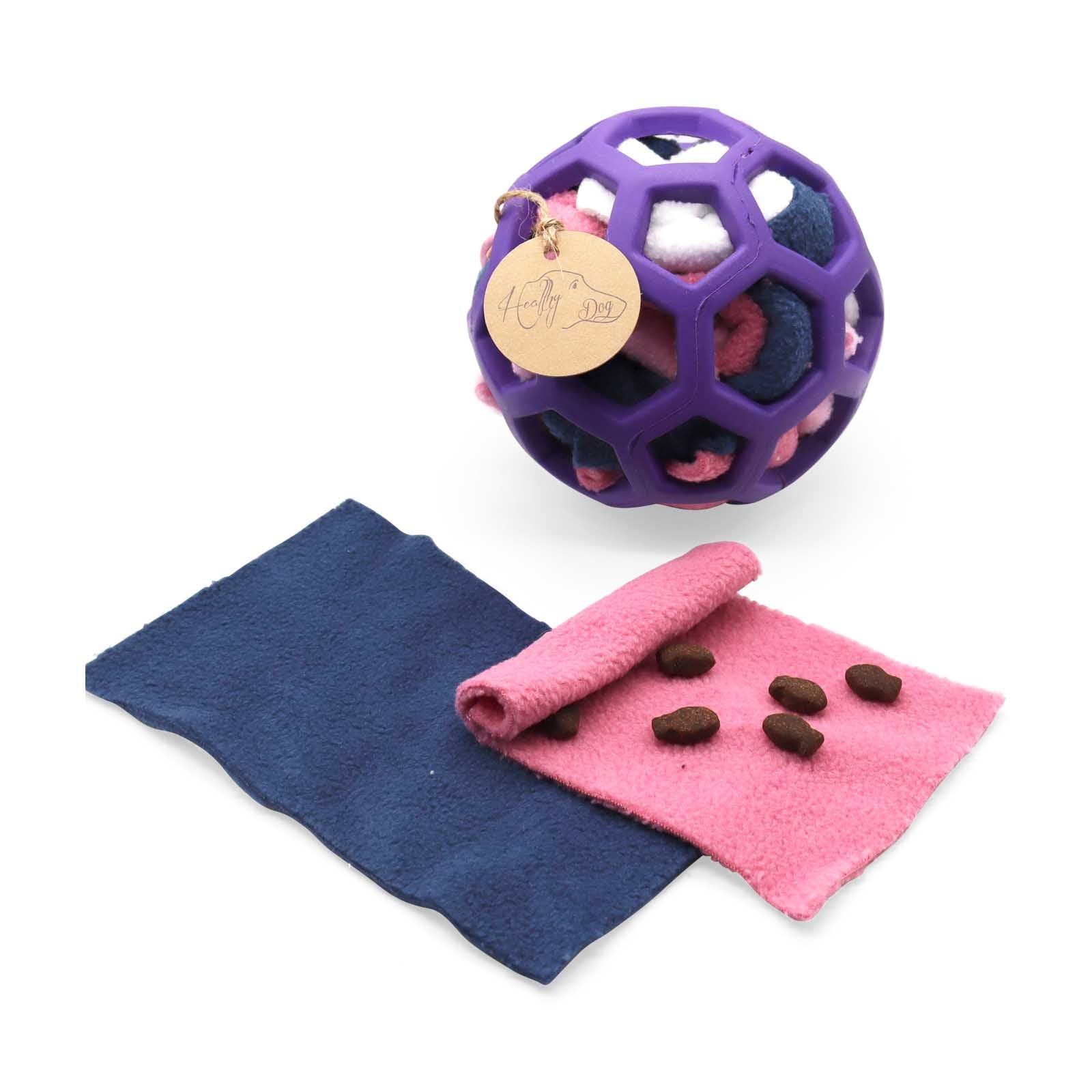HealthyDog Wunderball lila