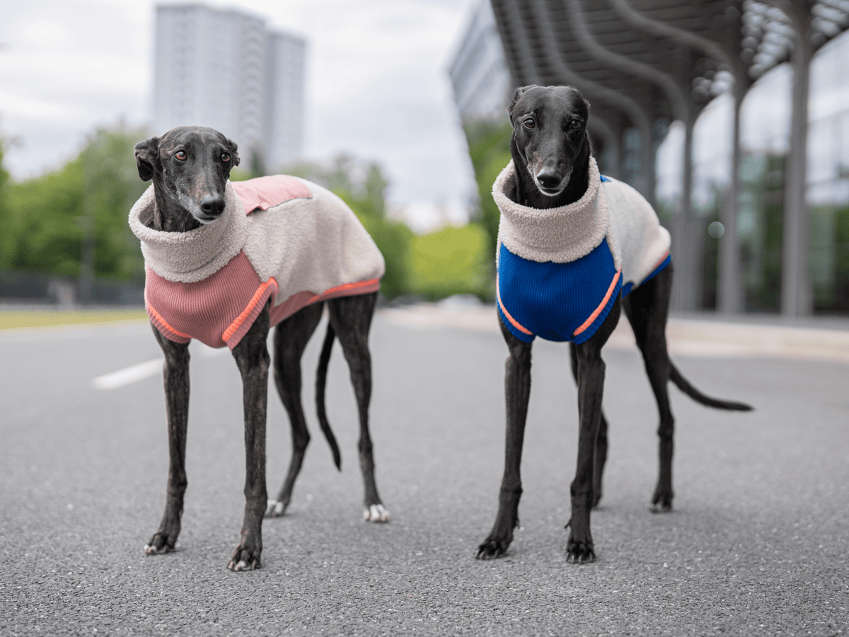 lumiies® Hundepullover warm aus Teddy-Sherpa-Fleece "2 verschiedene Farben"
