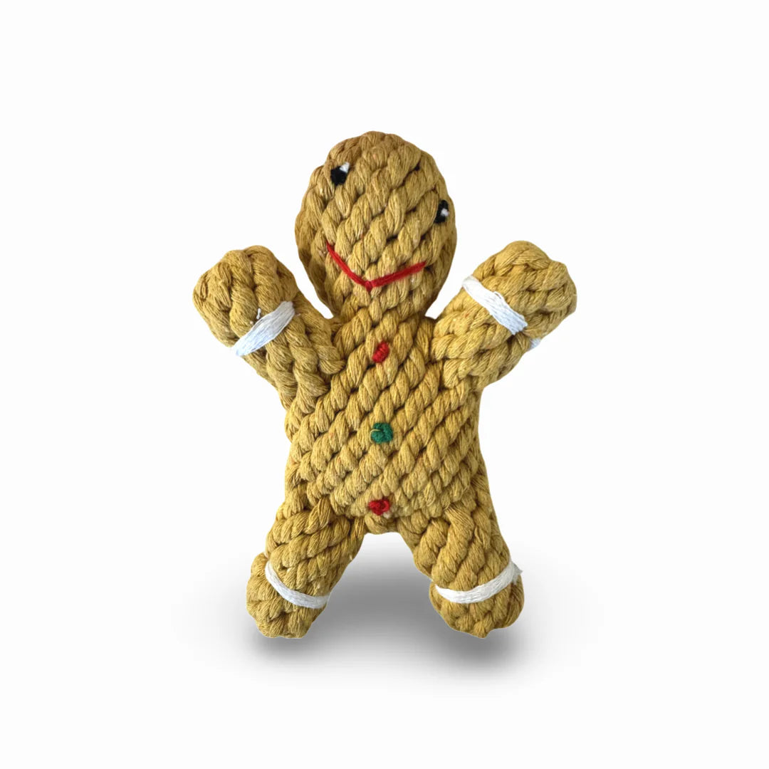 HealthyDog Lebkuchenmann