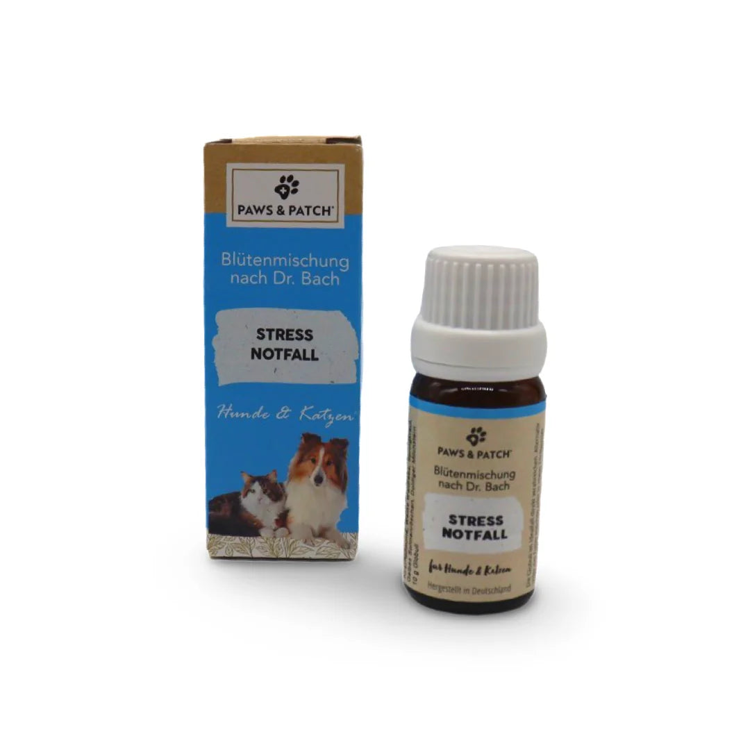 HealthyDog Paws & Patch Blütenmischung Stress Notfall