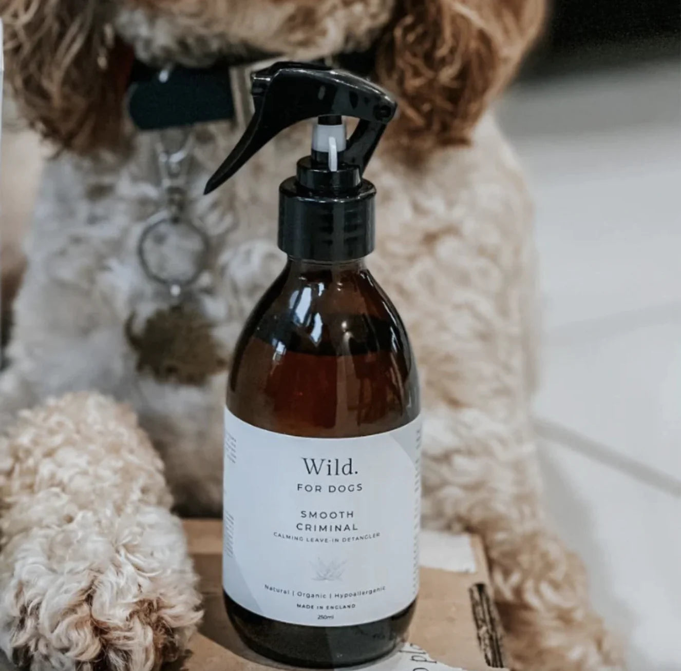 HealthyDog Wild for Dogs Leave-In Entwirrer