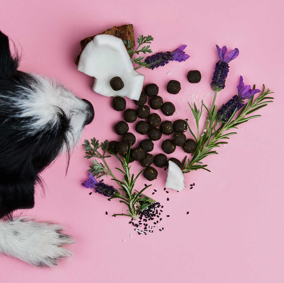 HealthyDog Tierliebhaber Z-Snack