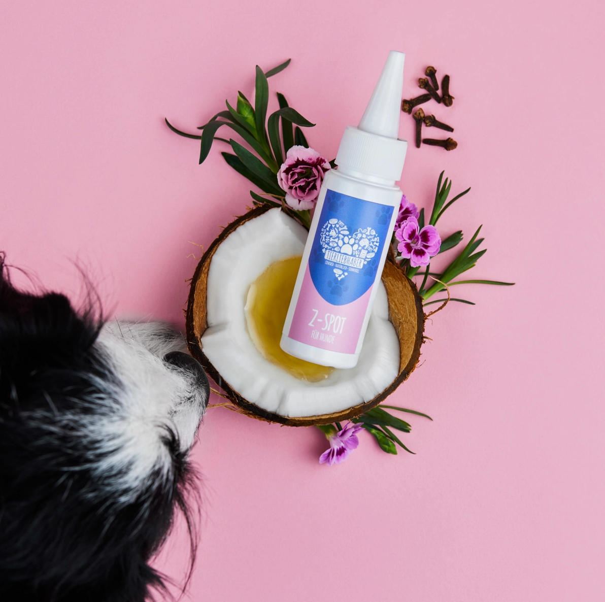 HealthyDog Tierliebhaber Z-Spot