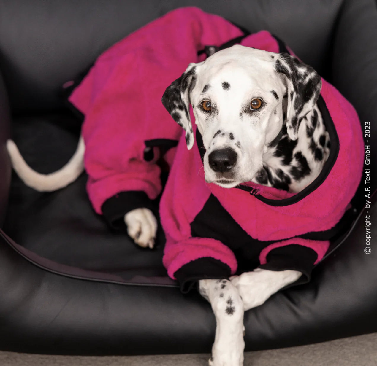 HealthyDog actionfactory dryup body zip.fit pink