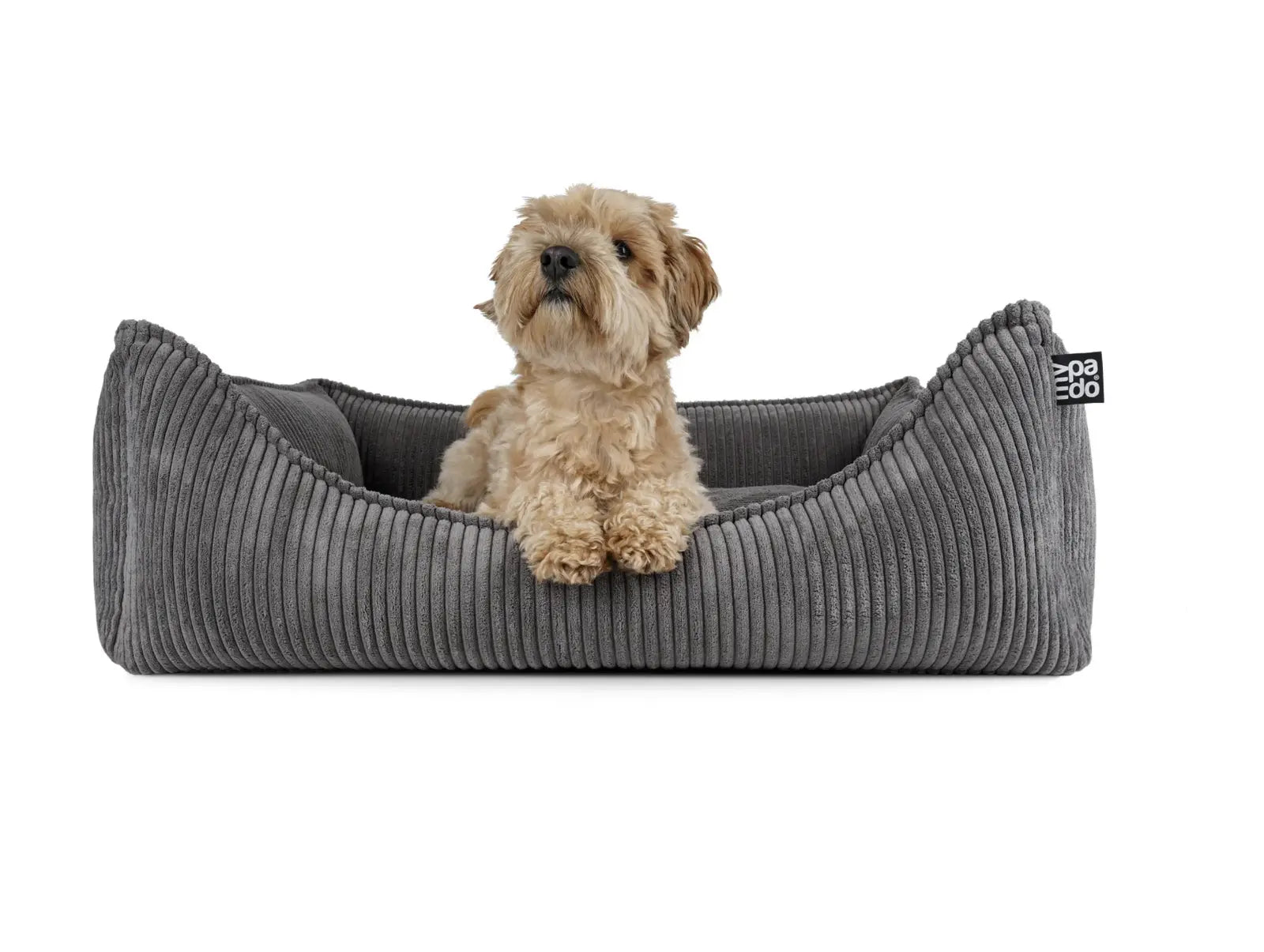 padsforall Hundebett Dreamer Cord