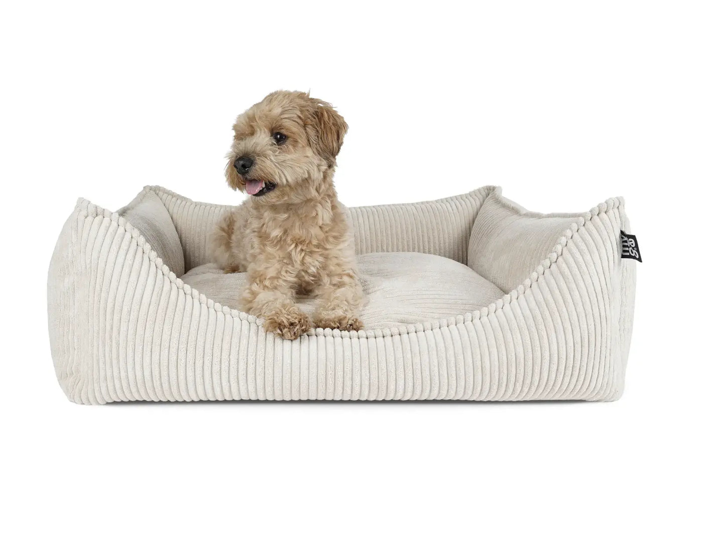 HealthyDog padsforall Hundebett Dreamer Cord