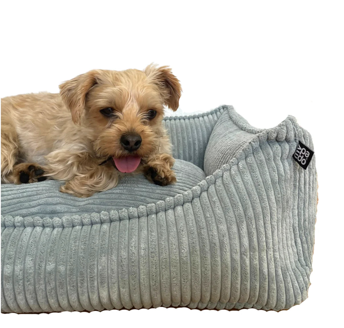 HealthyDog padsforall Hundebett Dreamer Cord