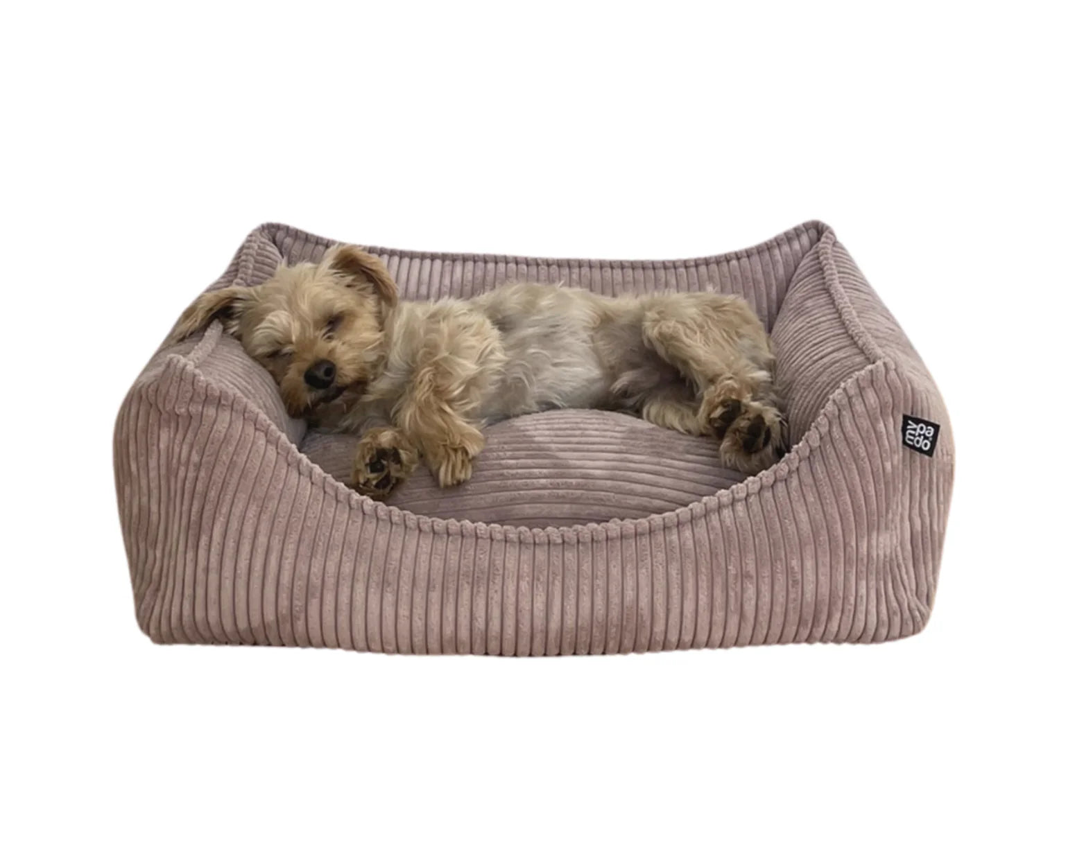 HealthyDog padsforall Hundebett Dreamer Cord