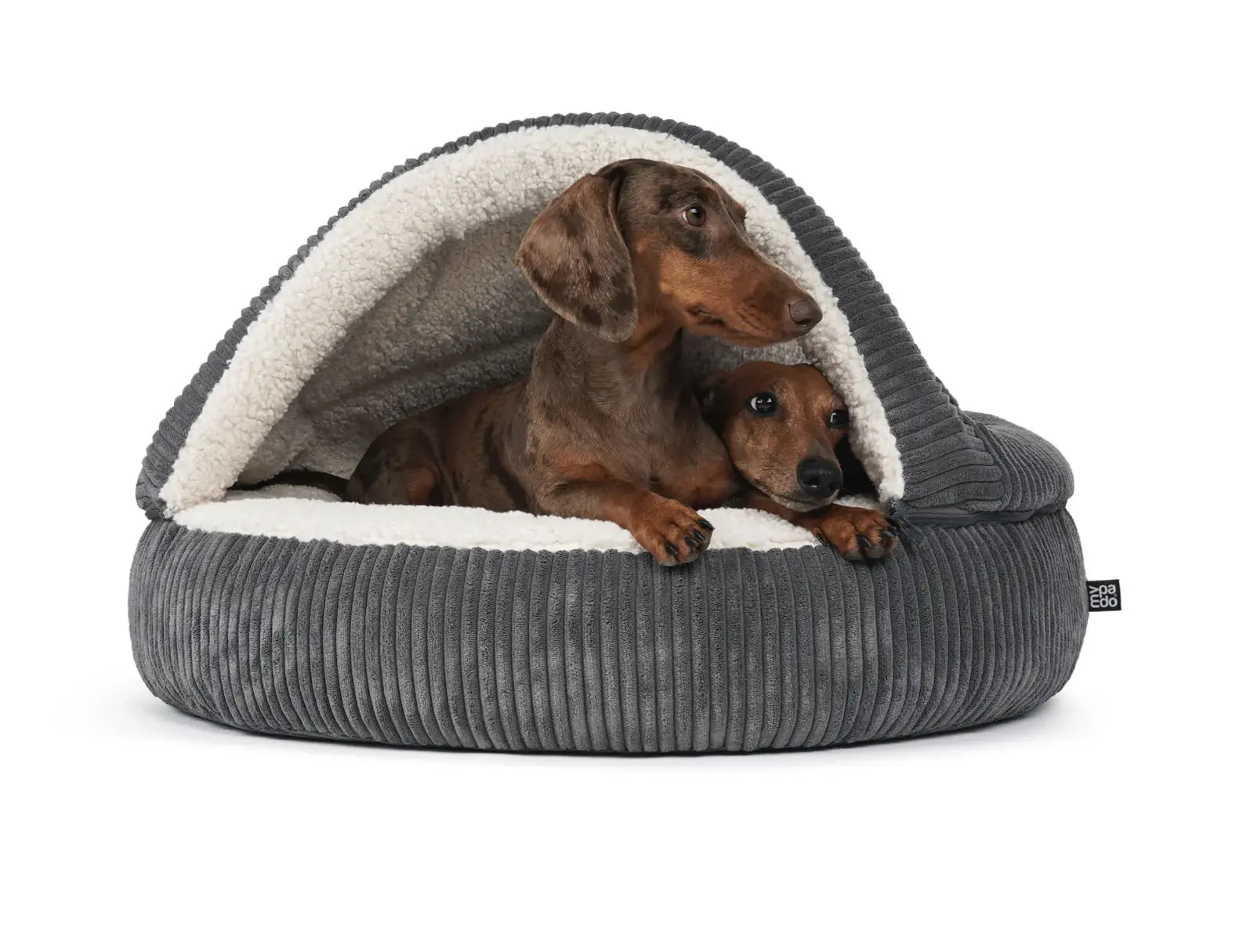 HealthyDog padsforall Hundehöhle Shell Cord