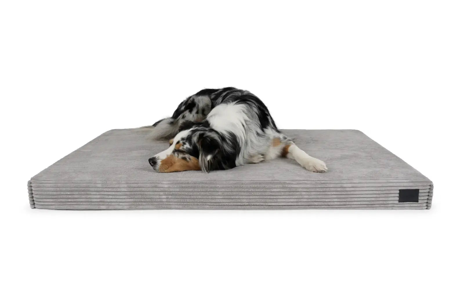 HealthyDog padsforall Hundematte Solana Cord