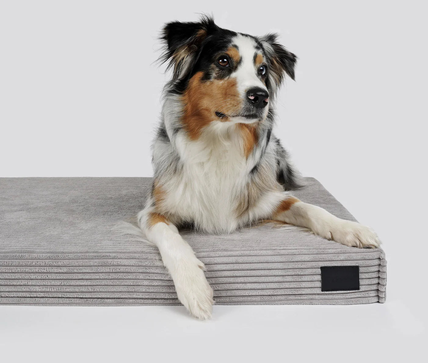 HealthyDog padsforall Hundematte Solana Cord