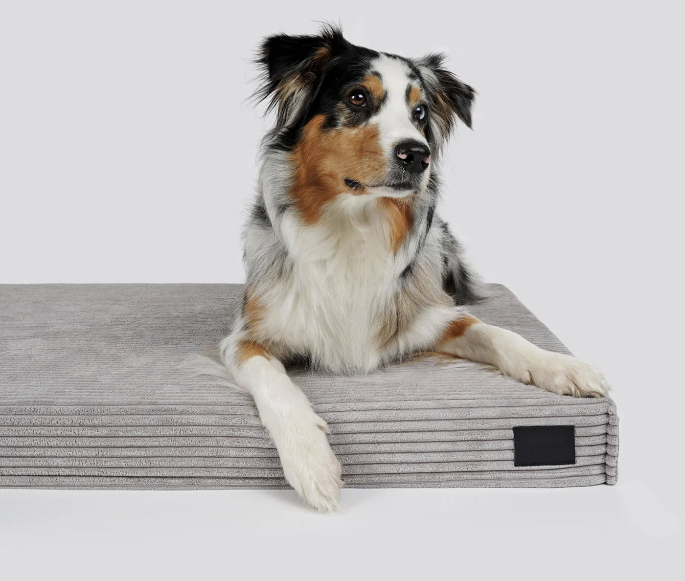 HealthyDog padsforall Hundematte Solana Cord
