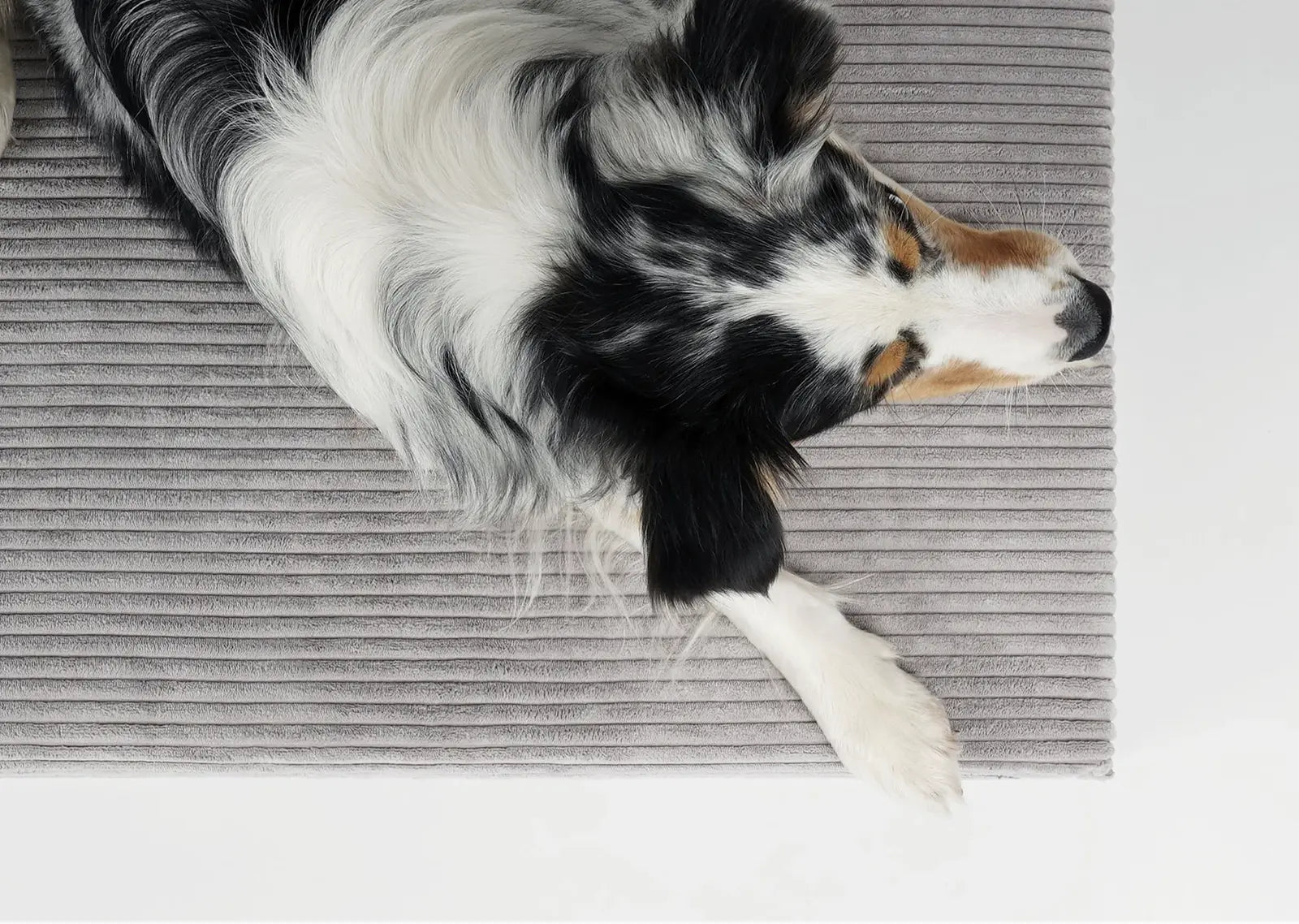HealthyDog padsforall Hundematte Solana Cord