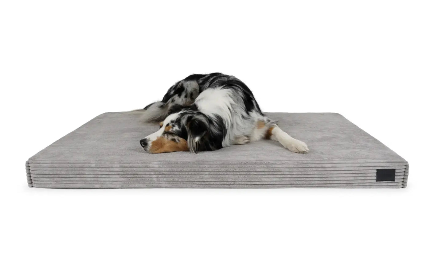 HealthyDog padsforall Hundematte Solana Cord