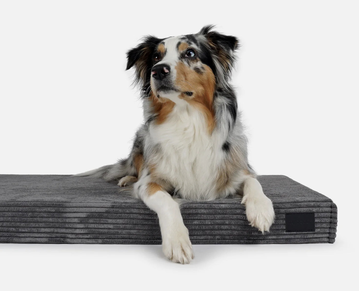HealthyDog padsforall Hundematte Solana Cord