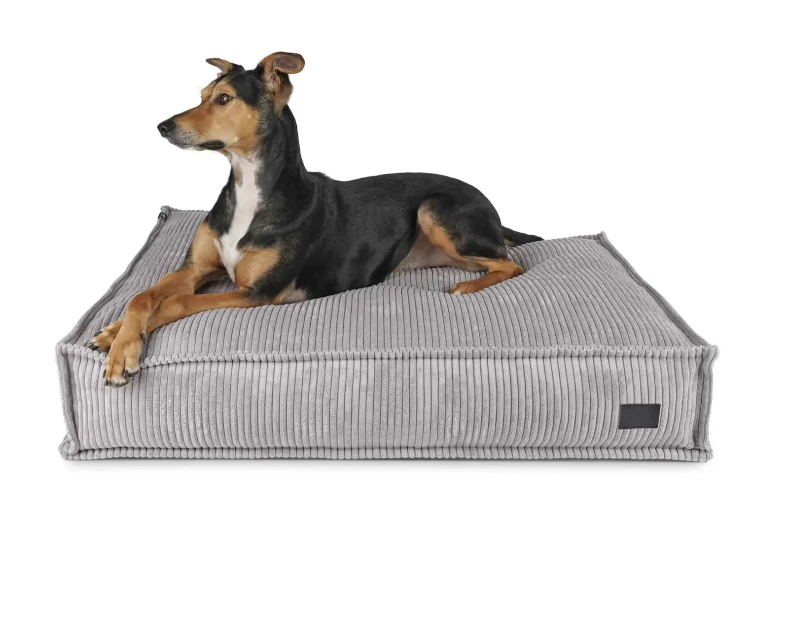 HealthyDog padsforall Hundekissen Flow Cord