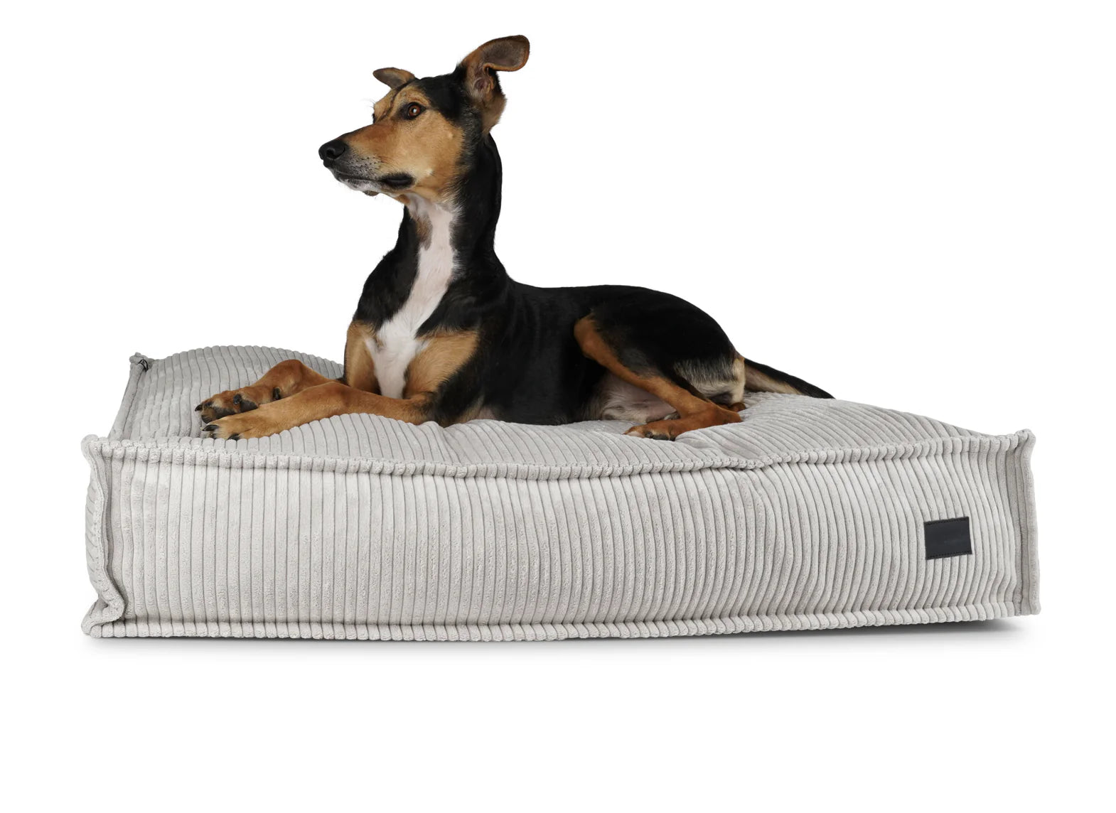 HealthyDog padsforall Hundekissen Flow Cord