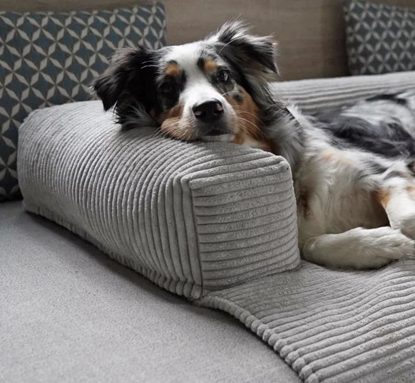 HealthyDog padsforall Dakota Cord Sofaschutz