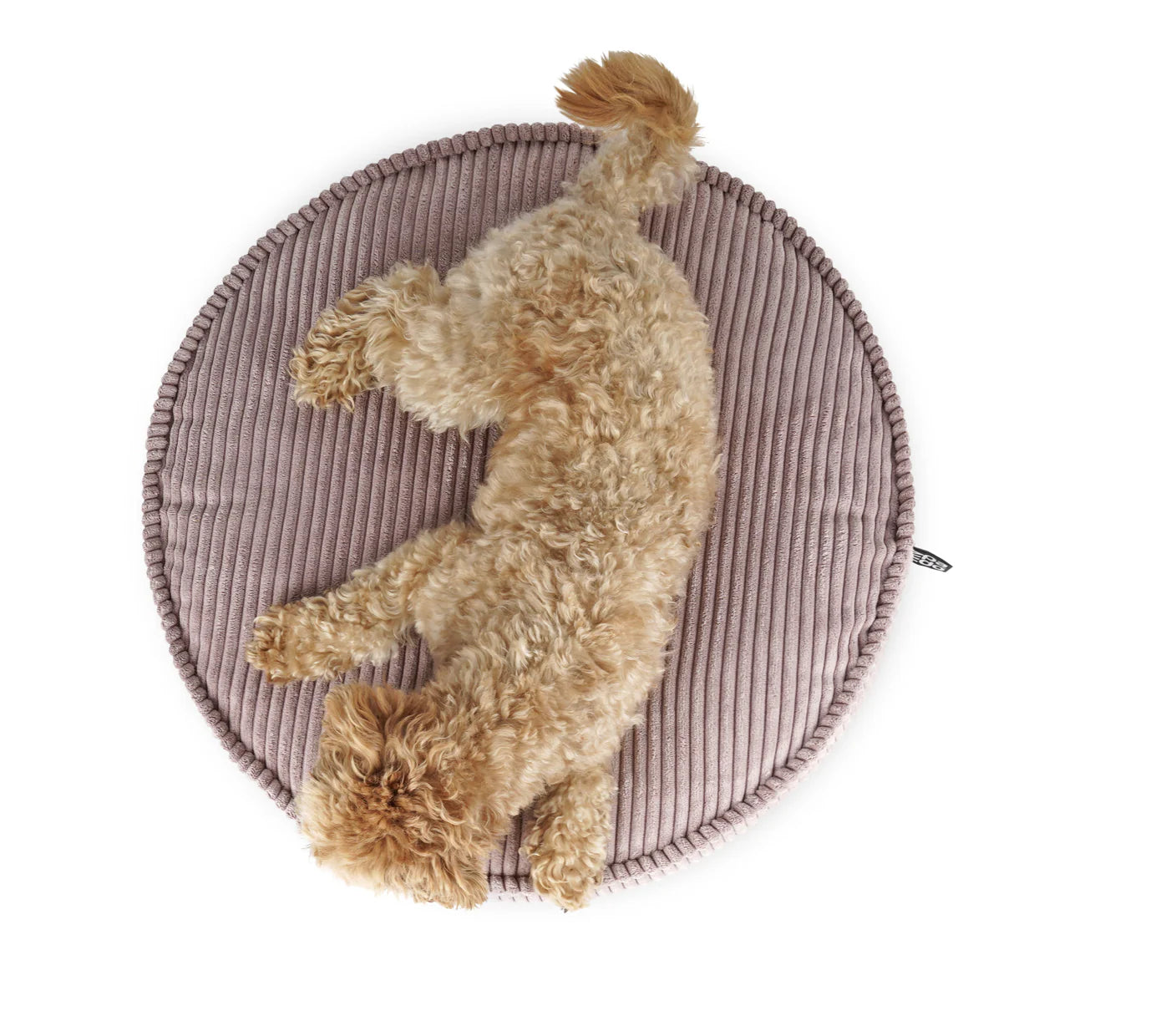 HealthyDog padsforall Hundekissen Mio Cord
