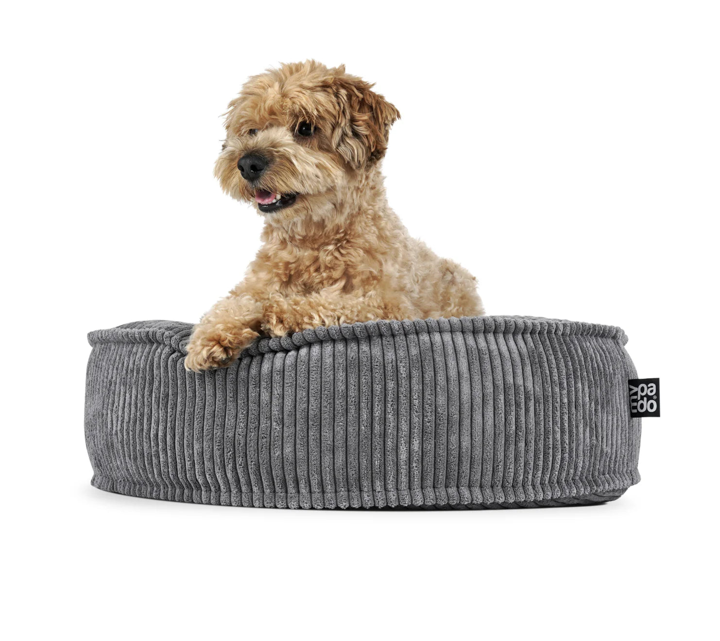 HealthyDog padsforall Hundekissen Mio Cord