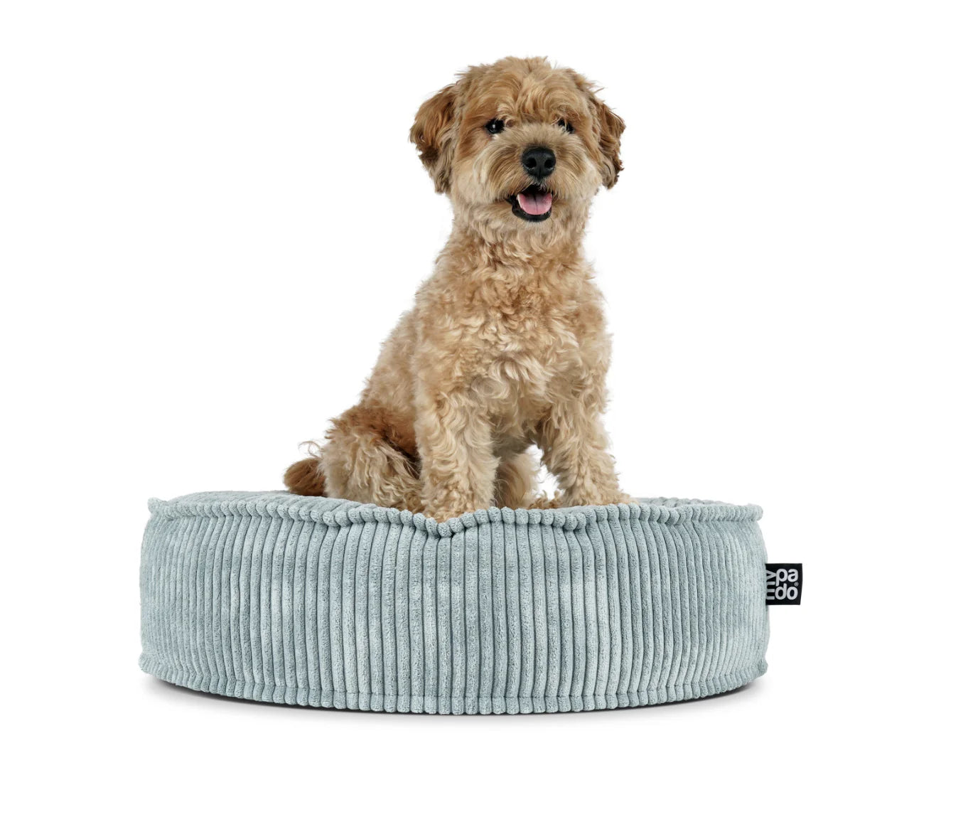 HealthyDog padsforall Hundekissen Mio Cord